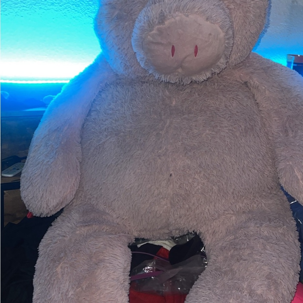 Plush Teddy Bear - Soft Pink